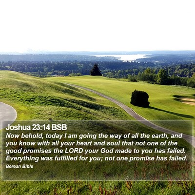 Joshua 23:14 BSB Bible Verse Image