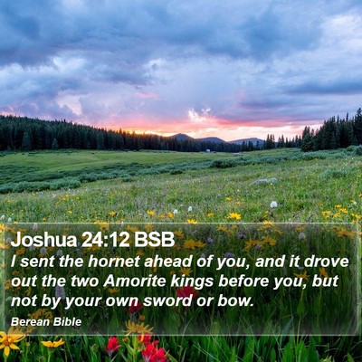Joshua 24:12 BSB Bible Verse Image