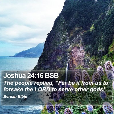Joshua 24:16 BSB Bible Verse Image