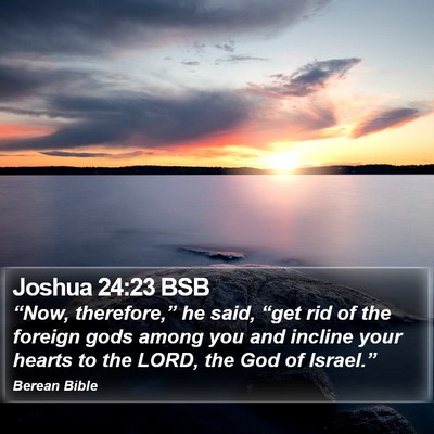 Joshua 24:23 BSB Bible Verse Image