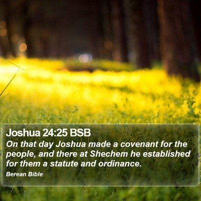 Joshua 24:25 BSB Bible Verse Image