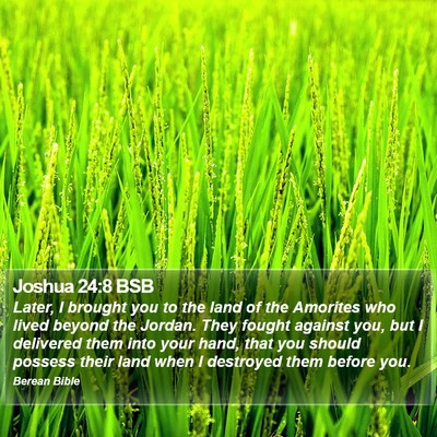 Joshua 24:8 BSB Bible Verse Image