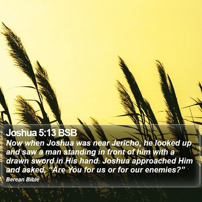 Joshua 5:13 BSB Bible Verse Image