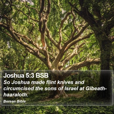Joshua 5:3 BSB Bible Verse Image