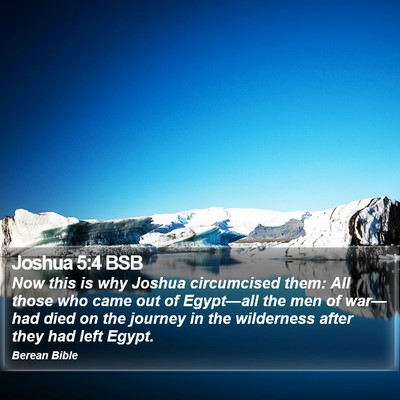 Joshua 5:4 BSB Bible Verse Image