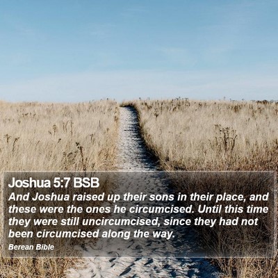 Joshua 5:7 BSB Bible Verse Image