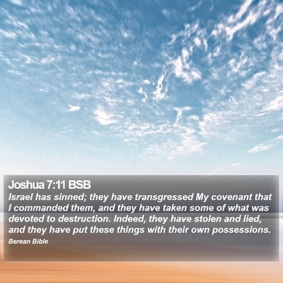 Joshua 7:11 BSB Bible Verse Image