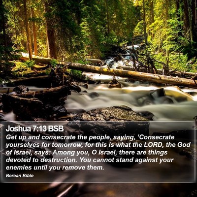 Joshua 7:13 BSB Bible Verse Image