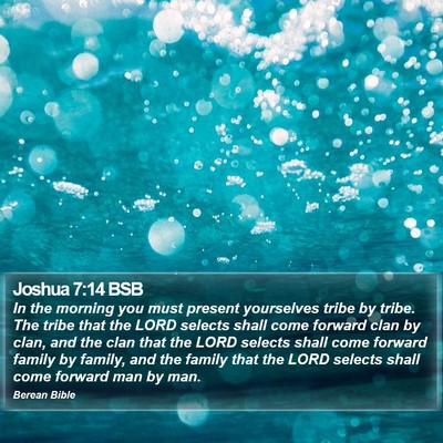 Joshua 7:14 BSB Bible Verse Image