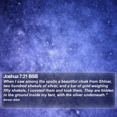 Joshua 7:21 BSB Bible Verse Image