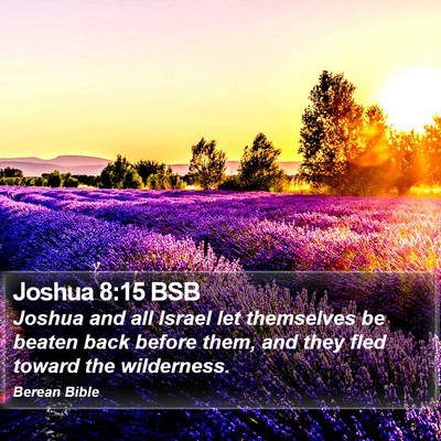 Joshua 8:15 BSB Bible Verse Image