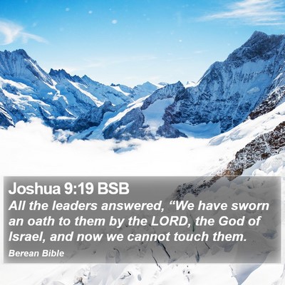 Joshua 9:19 BSB Bible Verse Image