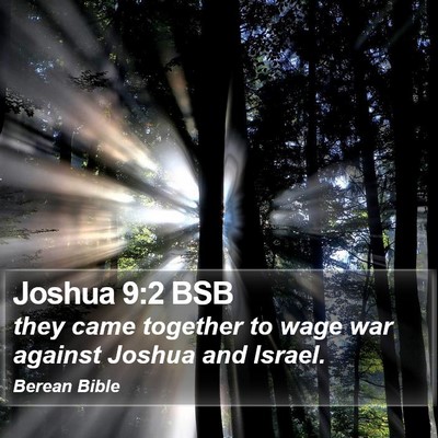 Joshua 9:2 BSB Bible Verse Image