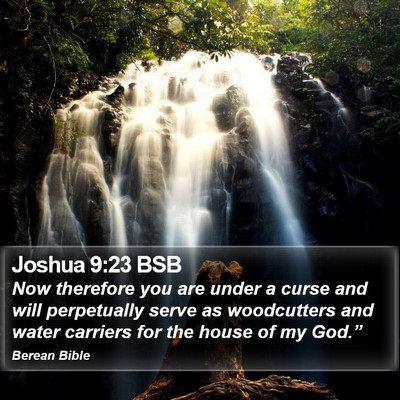 Joshua 9:23 BSB Bible Verse Image