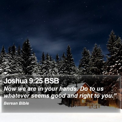 Joshua 9:25 BSB Bible Verse Image