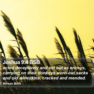 Joshua 9:4 BSB Bible Verse Image