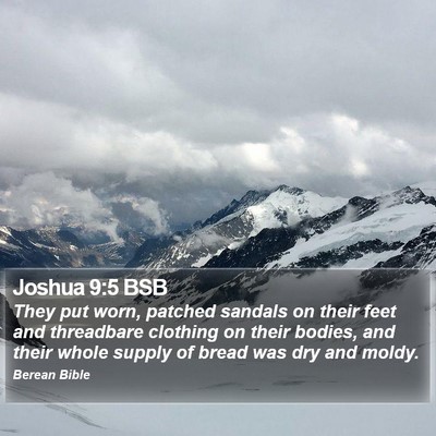 Joshua 9:5 BSB Bible Verse Image