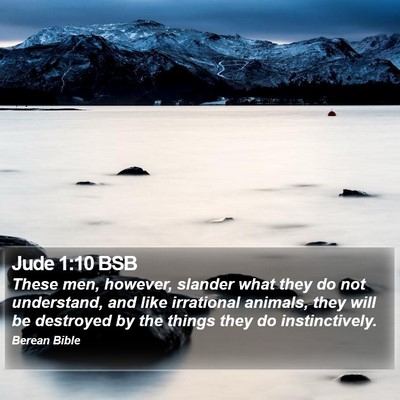 Jude 1:10 BSB Bible Verse Image