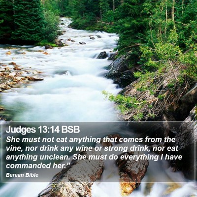 Judges 13:14 BSB Bible Verse Image