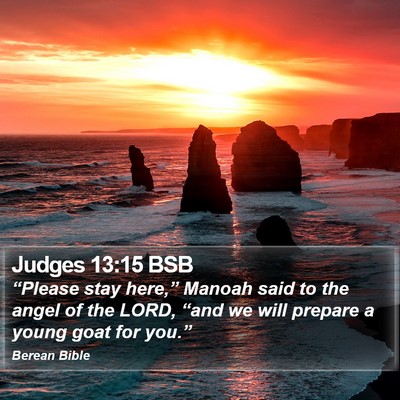 Judges 13:15 BSB Bible Verse Image