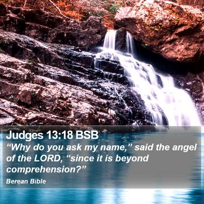 Judges 13:18 BSB Bible Verse Image