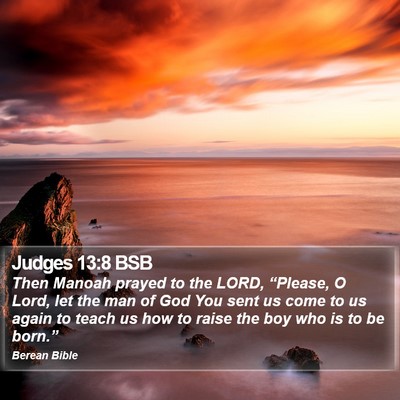 Judges 13:8 BSB Bible Verse Image