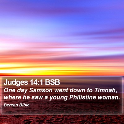 Judges 14:1 BSB Bible Verse Image
