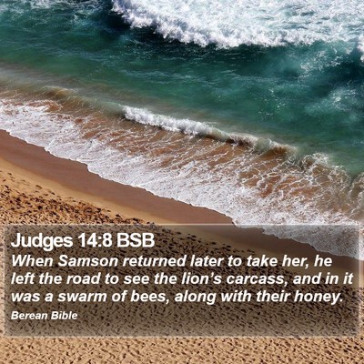 Judges 14:8 BSB Bible Verse Image