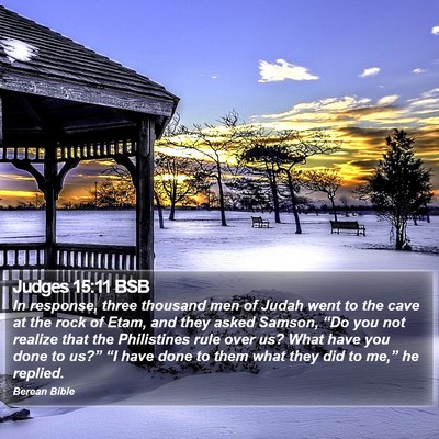 Judges 15:11 BSB Bible Verse Image