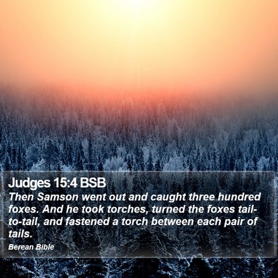 Judges 15:4 BSB Bible Verse Image