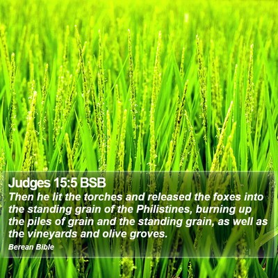 Judges 15:5 BSB Bible Verse Image