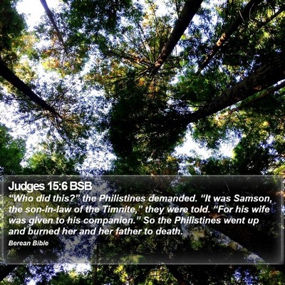 Judges 15:6 BSB Bible Verse Image