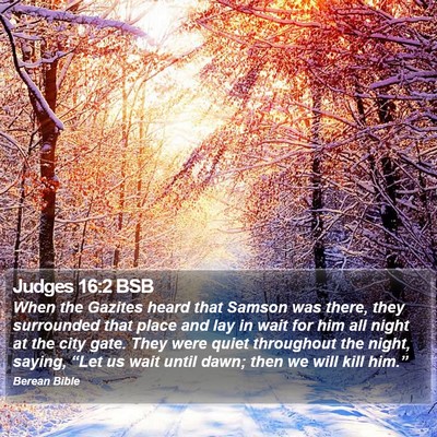 Judges 16:2 BSB Bible Verse Image