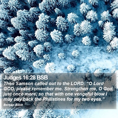 Judges 16:28 BSB Bible Verse Image