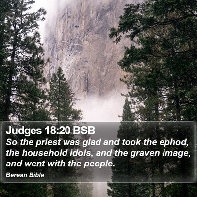 Judges 18:20 BSB Bible Verse Image