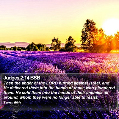Judges 2:14 BSB Bible Verse Image