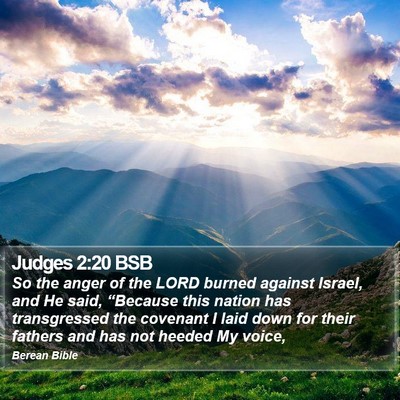 Judges 2:20 BSB Bible Verse Image