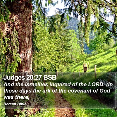 Judges 20:27 BSB Bible Verse Image