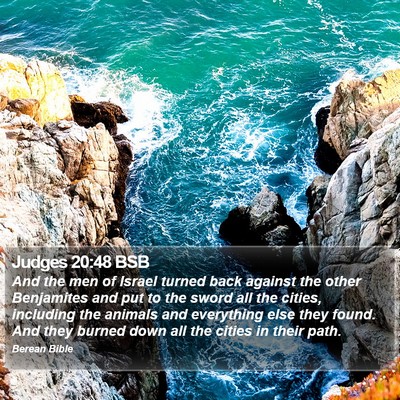 Judges 20:48 BSB Bible Verse Image