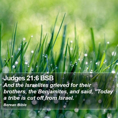 Judges 21:6 BSB Bible Verse Image