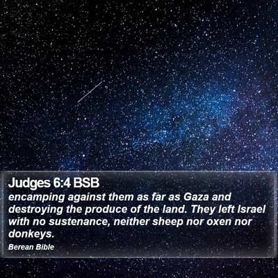 Judges 6:4 BSB Bible Verse Image