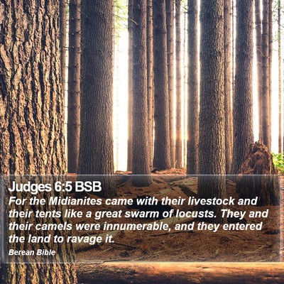 Judges 6:5 BSB Bible Verse Image