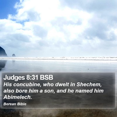 Judges 8:31 BSB Bible Verse Image