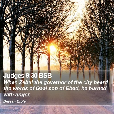 Judges 9:30 BSB Bible Verse Image
