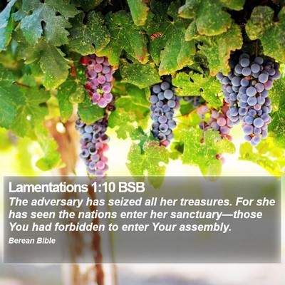 Lamentations 1:10 BSB Bible Verse Image