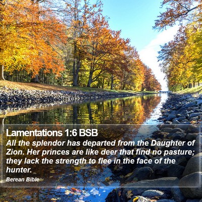 Lamentations 1:6 BSB Bible Verse Image