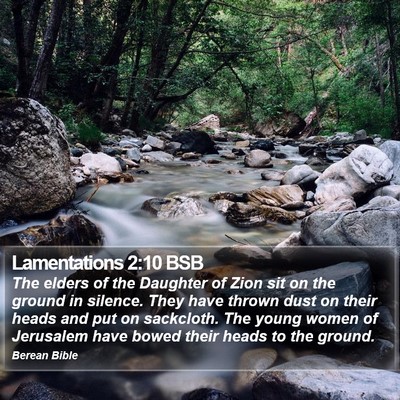Lamentations 2:10 BSB Bible Verse Image