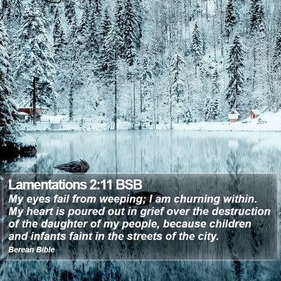 Lamentations 2:11 BSB Bible Verse Image