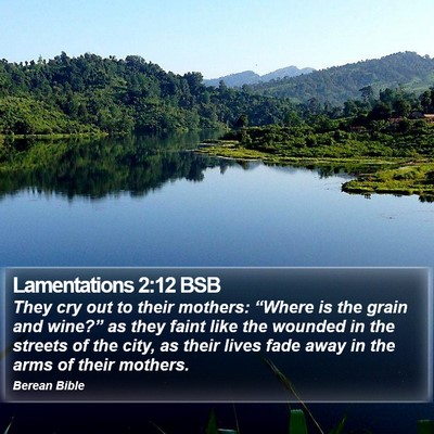 Lamentations 2:12 BSB Bible Verse Image