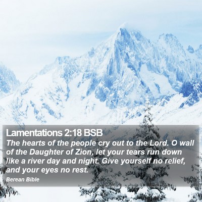 Lamentations 2:18 BSB Bible Verse Image